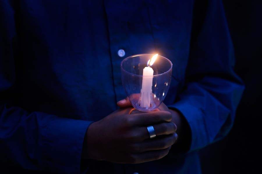 GARDEN13p-Maverick-Neal