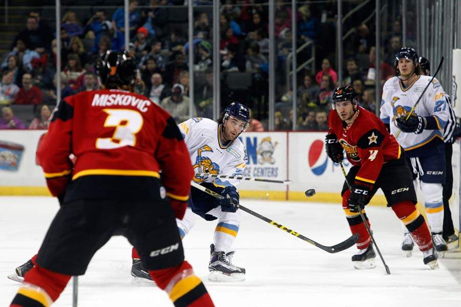 Walleye17p-prochno-vs-miskovic