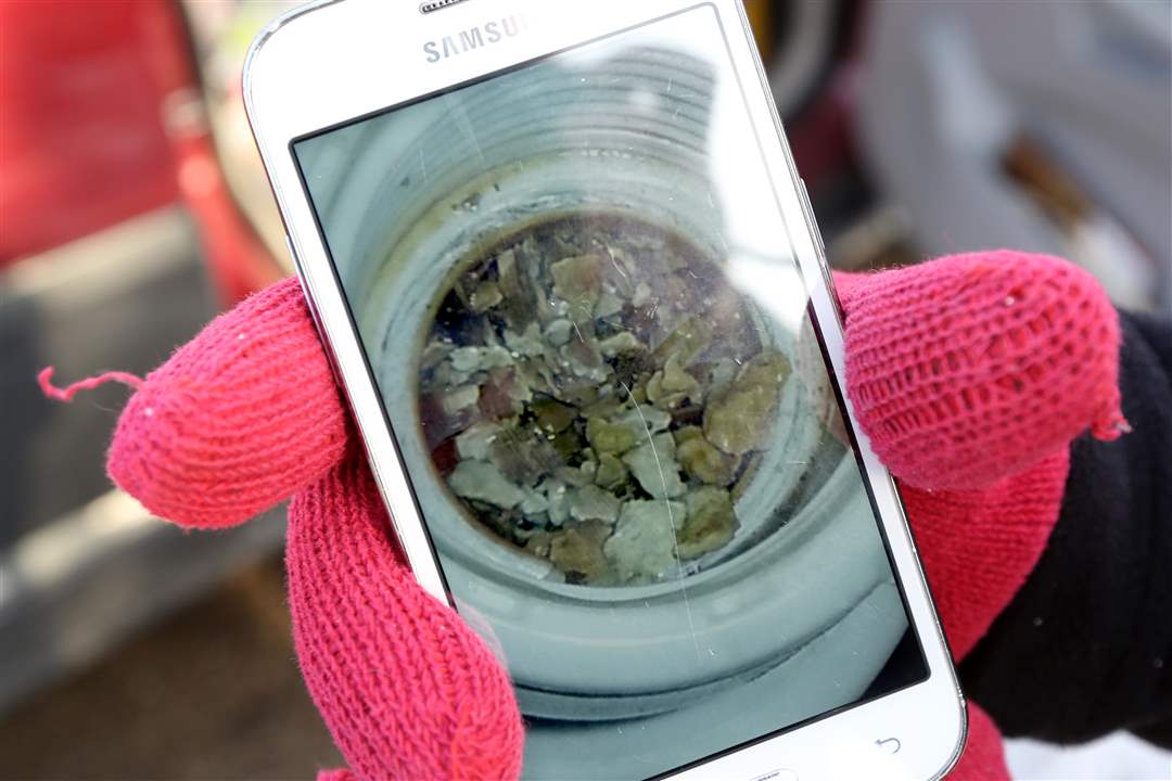 Jacquana-Simbler-1-23