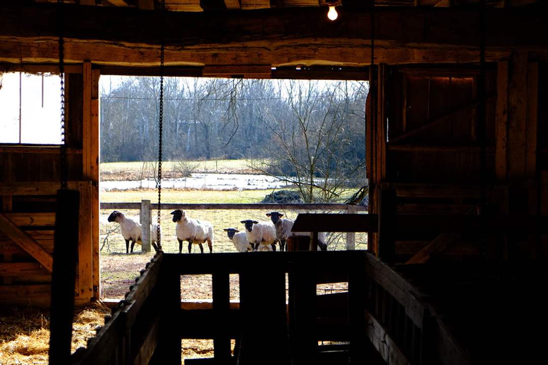 CTY-1historicfarmxxpCivil