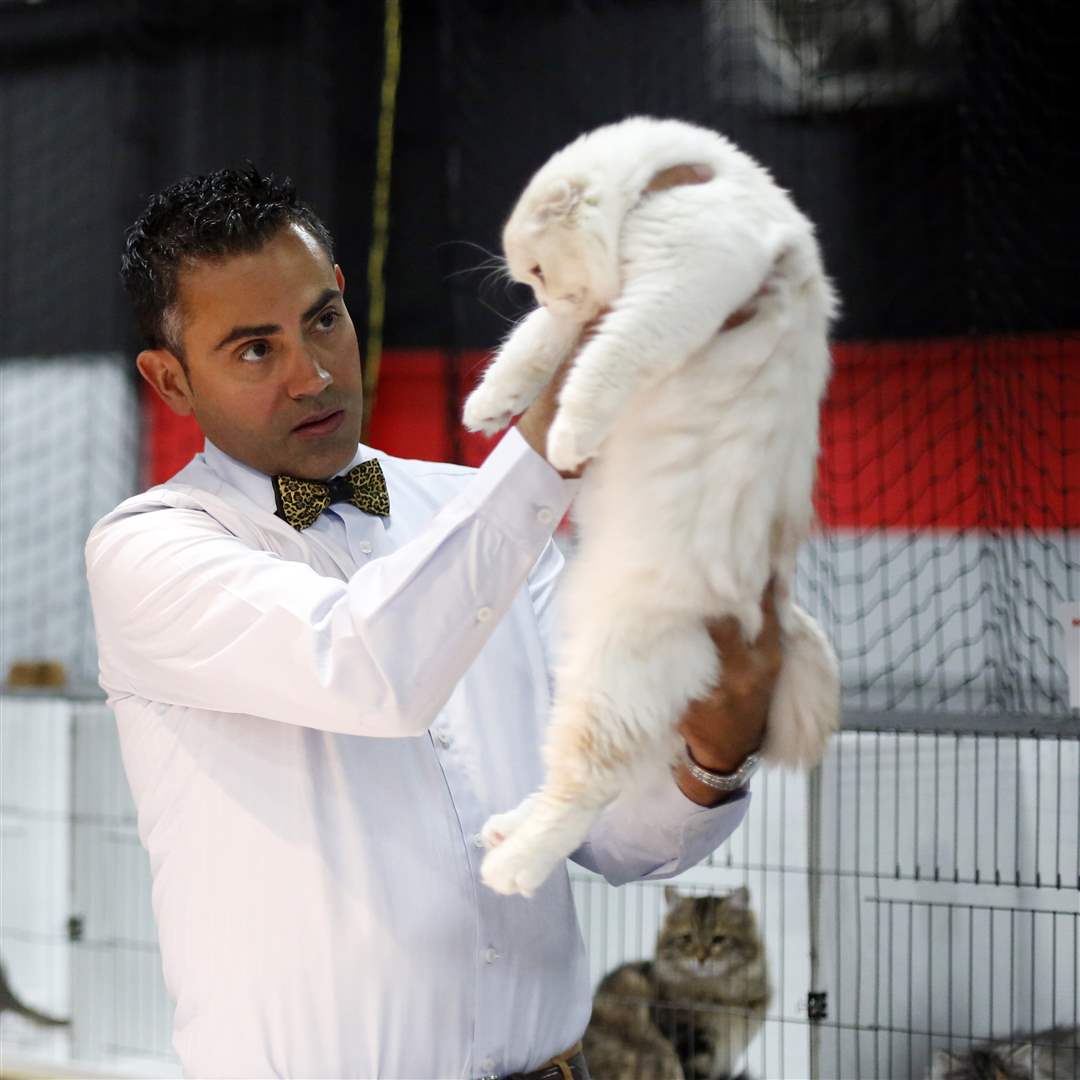 ROV-catshowLopez