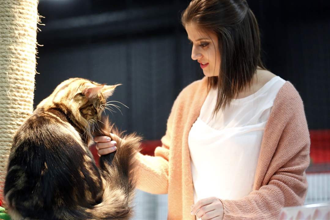 ROV-catshowKalani