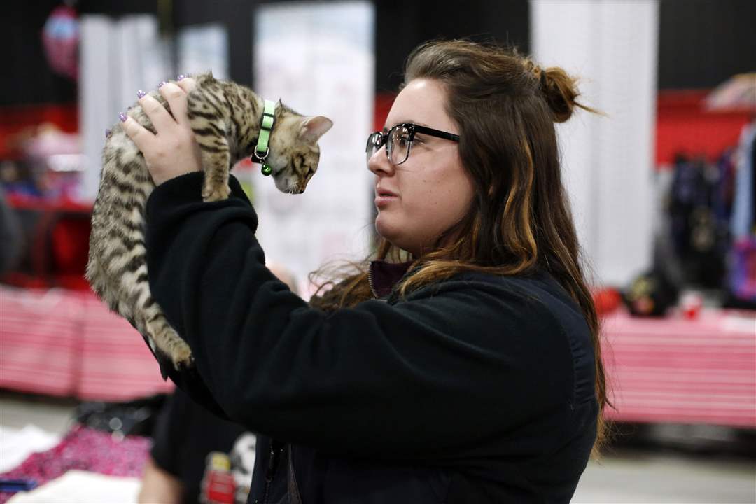 ROV-catshowKlocinski