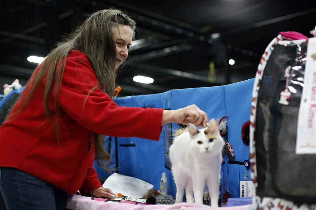 ROV-catshowPoole