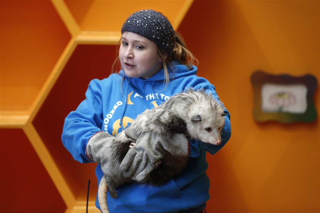 CTY-ZOOPREZPresentation