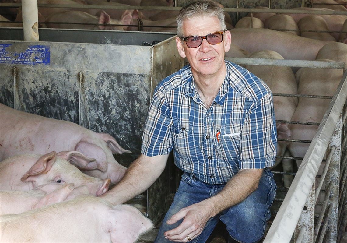 Area hog farm could be Ohio's 3rd largest
