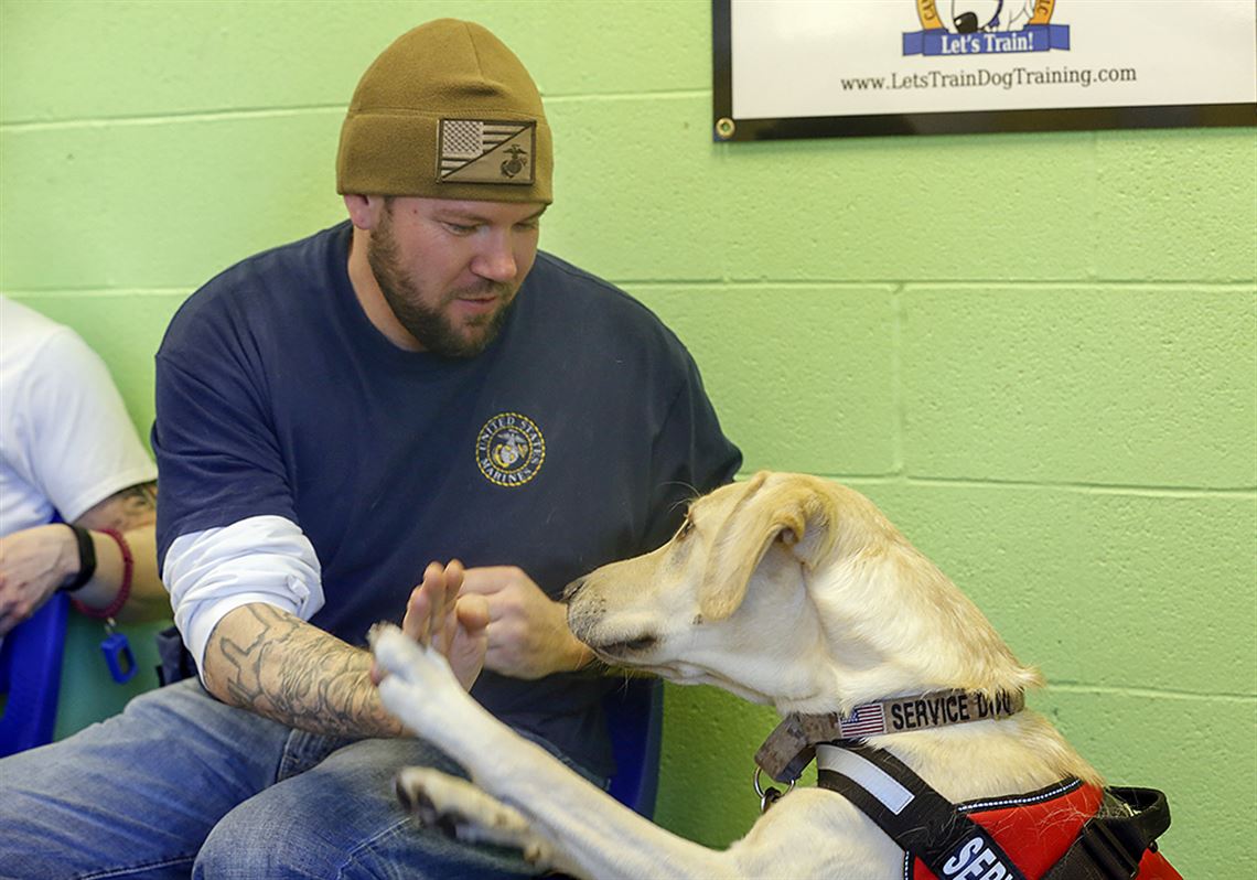service dog training for ptsd near me