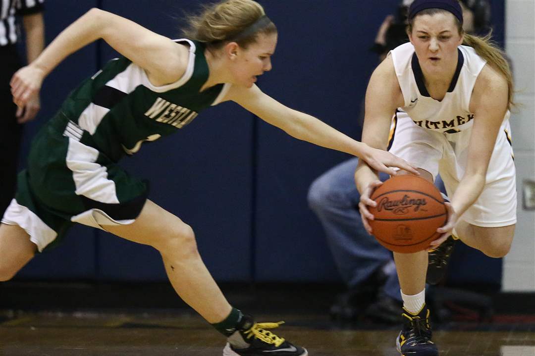 IN PICTURES Whitmer rallies past Westlake The Blade