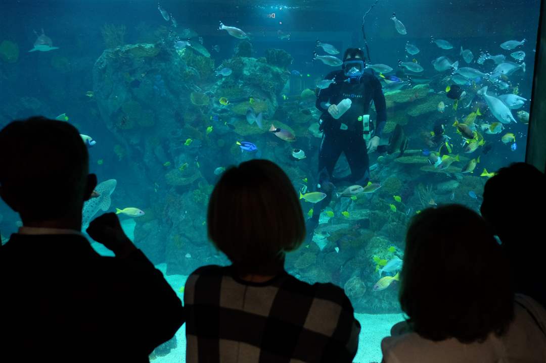 SOC-vine26pAquarium