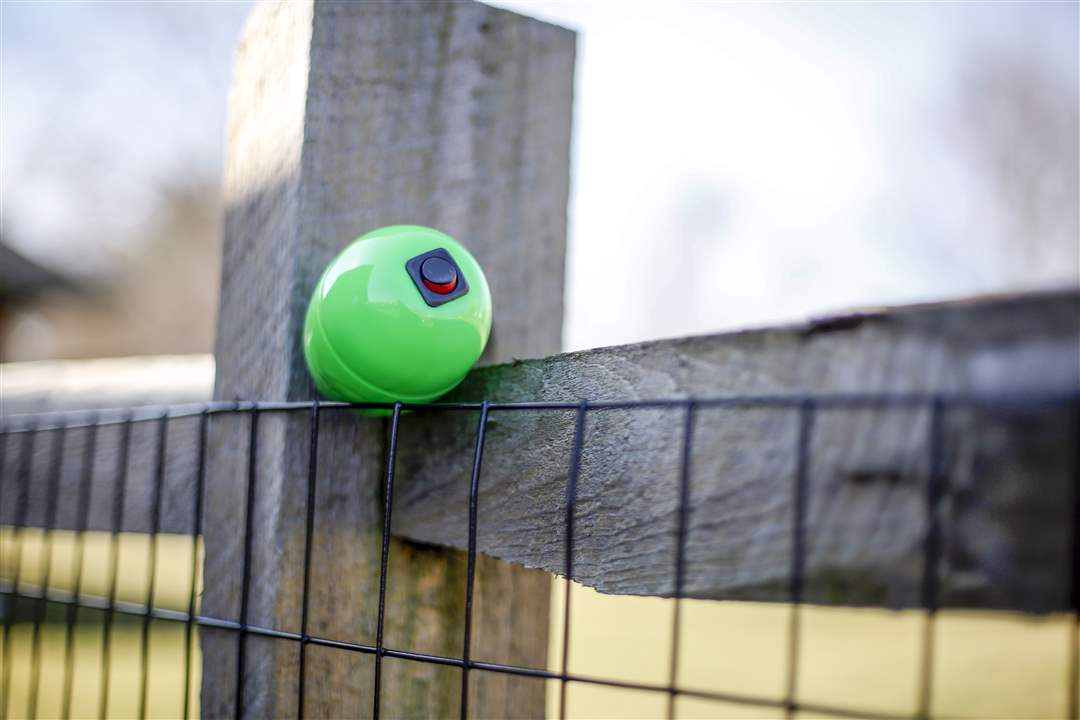 Beeping Easter egg hunt The Blade