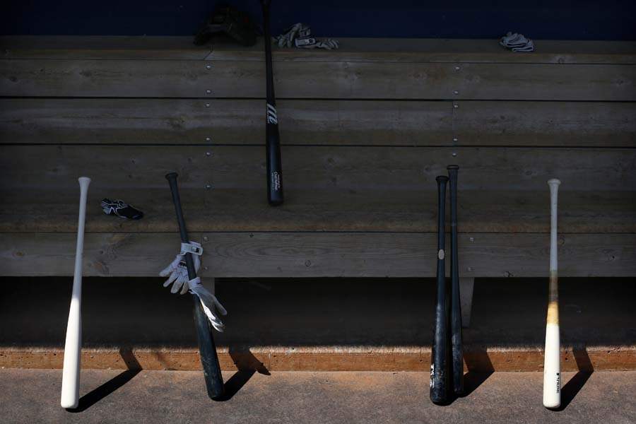 HensPhotos6p-bats-dugout