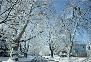 Residents of Birchall Road south of Royalton Road in Toledo's Library Village neighborhood woke up to coating of snow that fell overnight.    