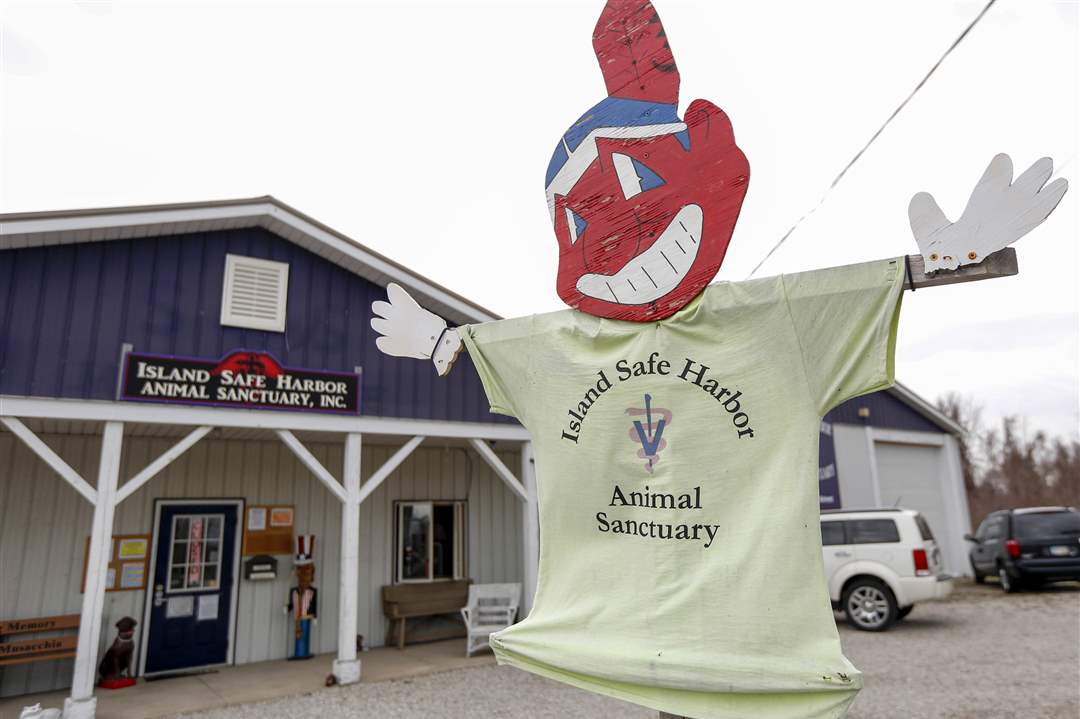 CTY-ANGELCARExxpHarbor