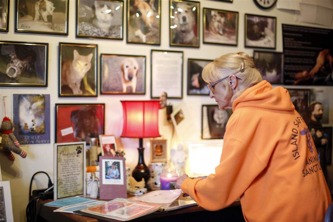 CTY-ANGELCARExxpSanctuary