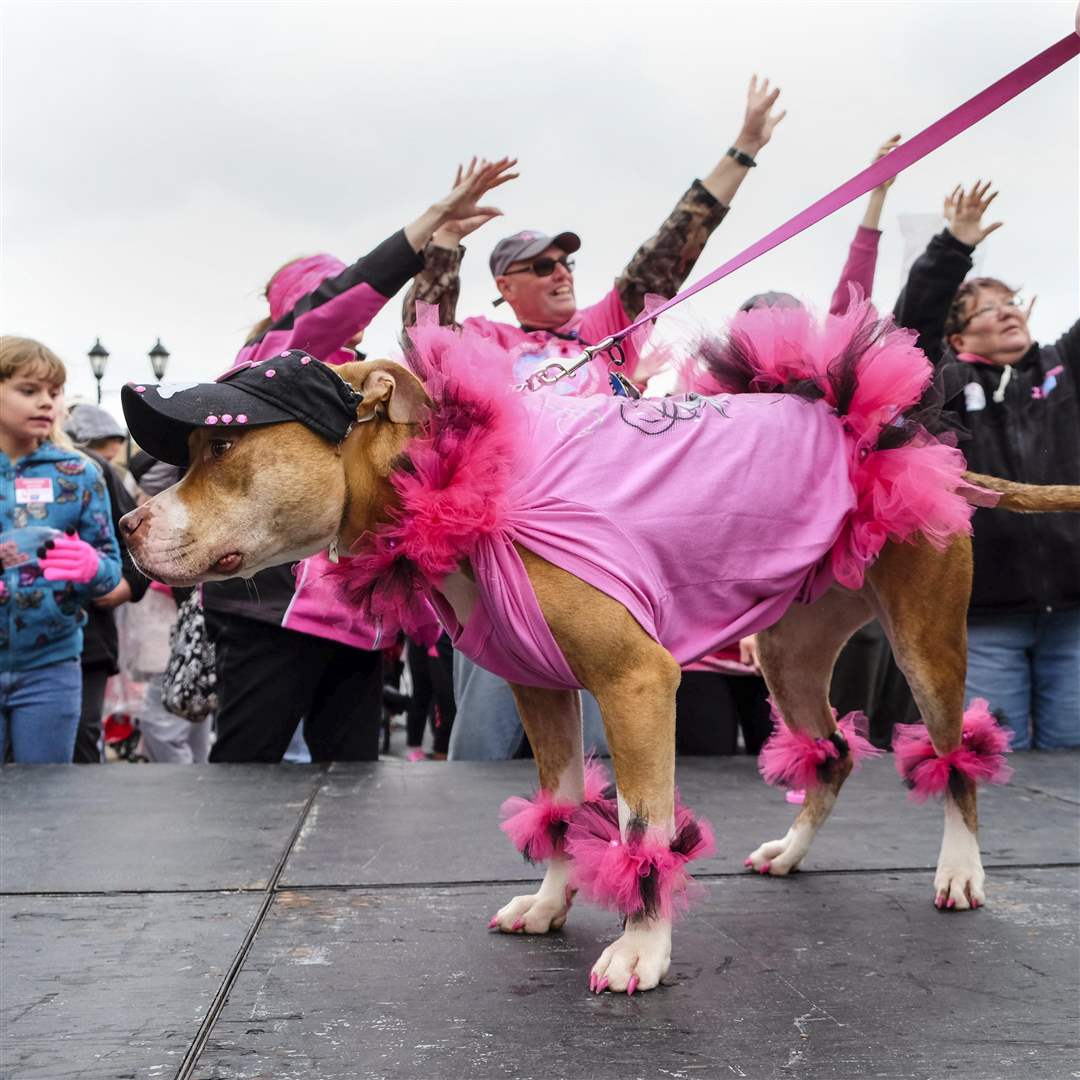 CTY-makingstrides14Diva-was-called-out-and-b