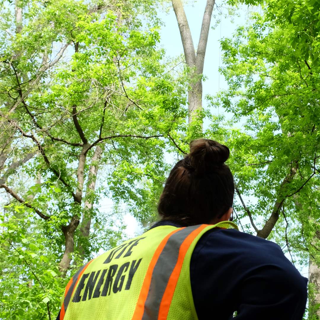 banding-process-5-20