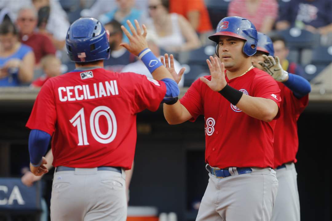 SPT-Hens29pCeciliani