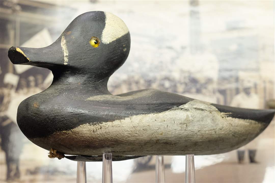 SPT-MUSEUM26Bufflehead