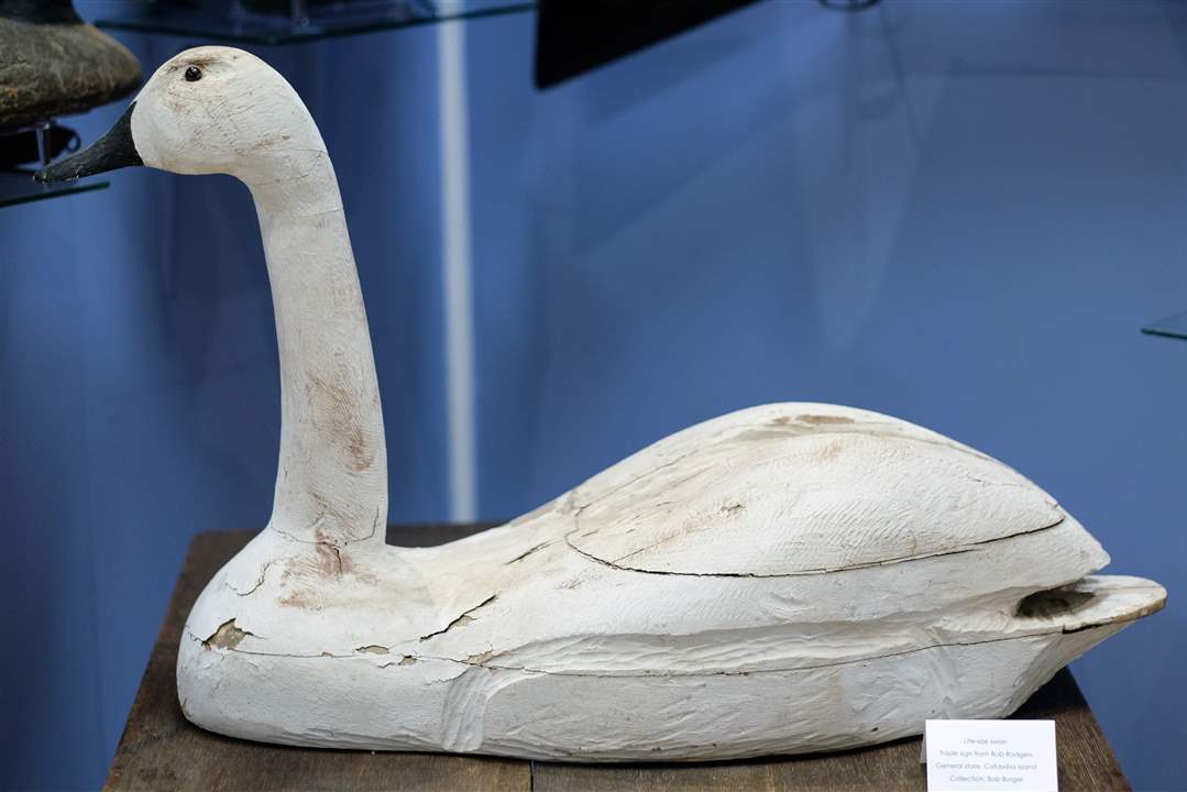 SPT-MUSEUM26Swan