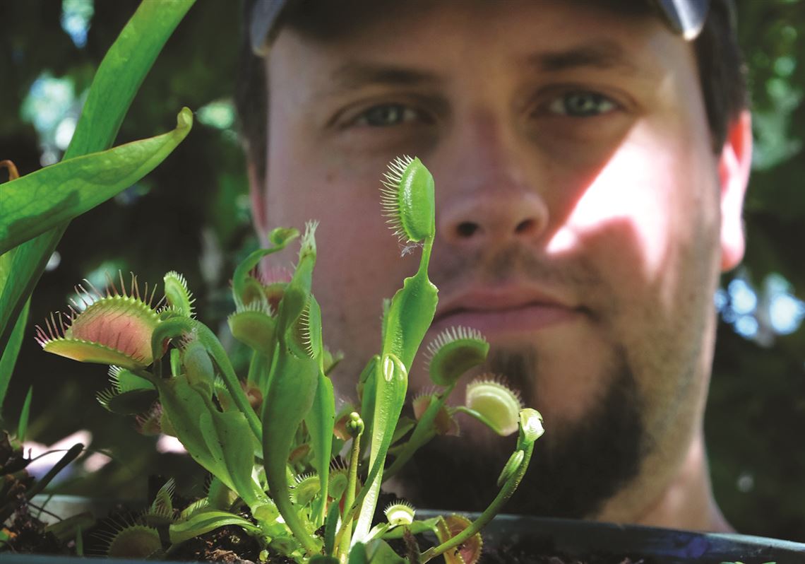 What Happens If My Dog Eats A Venus Fly Trap