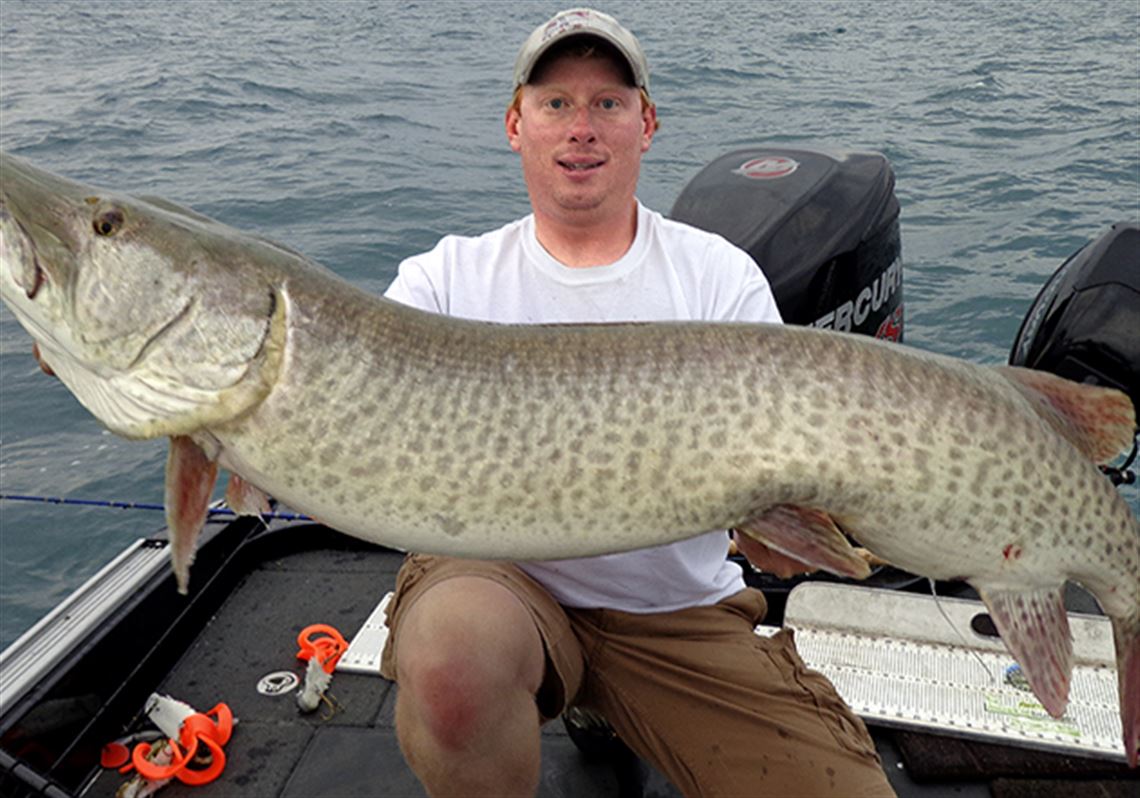 Muskie guide happy to pursue big, bad, ugly fish