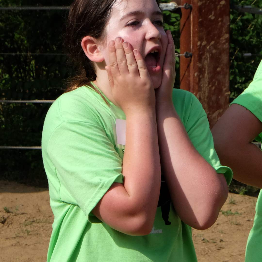 120213c9-545f-460b-b102-f925ff8aec1b