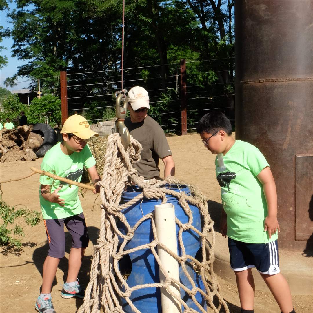 8f6c11a6-c565-414f-8440-d8db921521e6