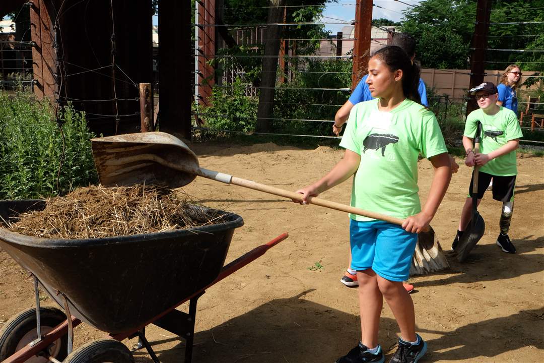 0a2234e2-c8ee-4c0f-b88a-c16e5105b926