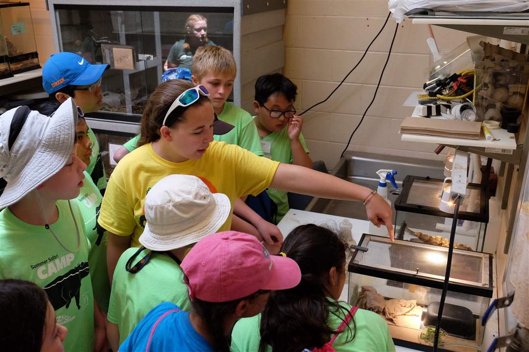 202a2940-3940-4d6a-a158-a37460a66e2a