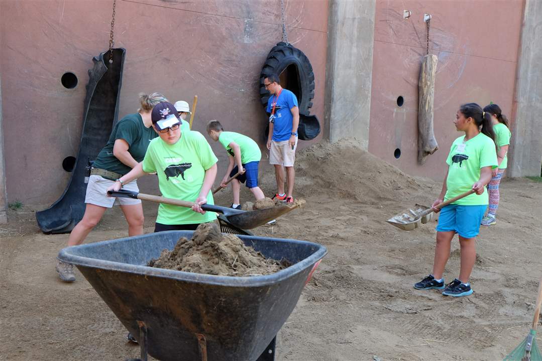 820794ce-b7d4-4794-8b89-a6c277ebf341