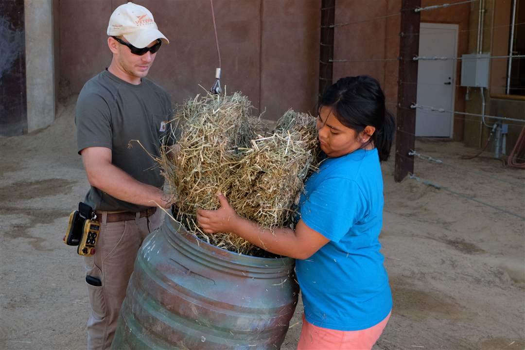 c03855ad-d403-40e1-bea3-3b4768323a81