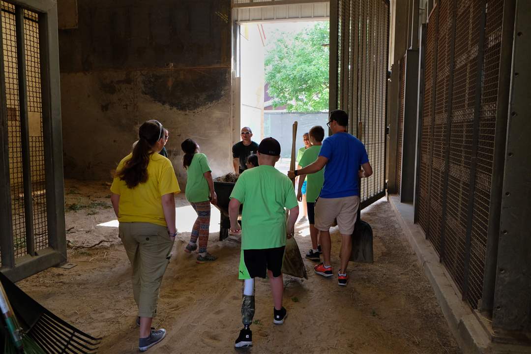 c3e47f94-8cdc-44ef-8c9c-b9428d907421