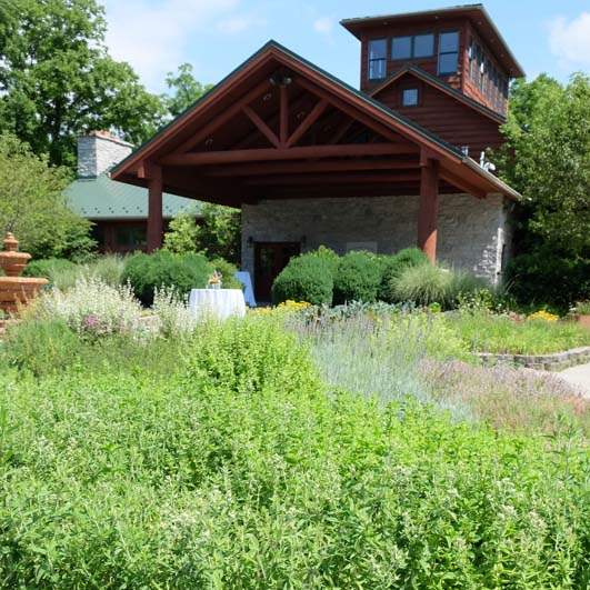 FEA-bocuse19-Culinary-Vegetable-Institute