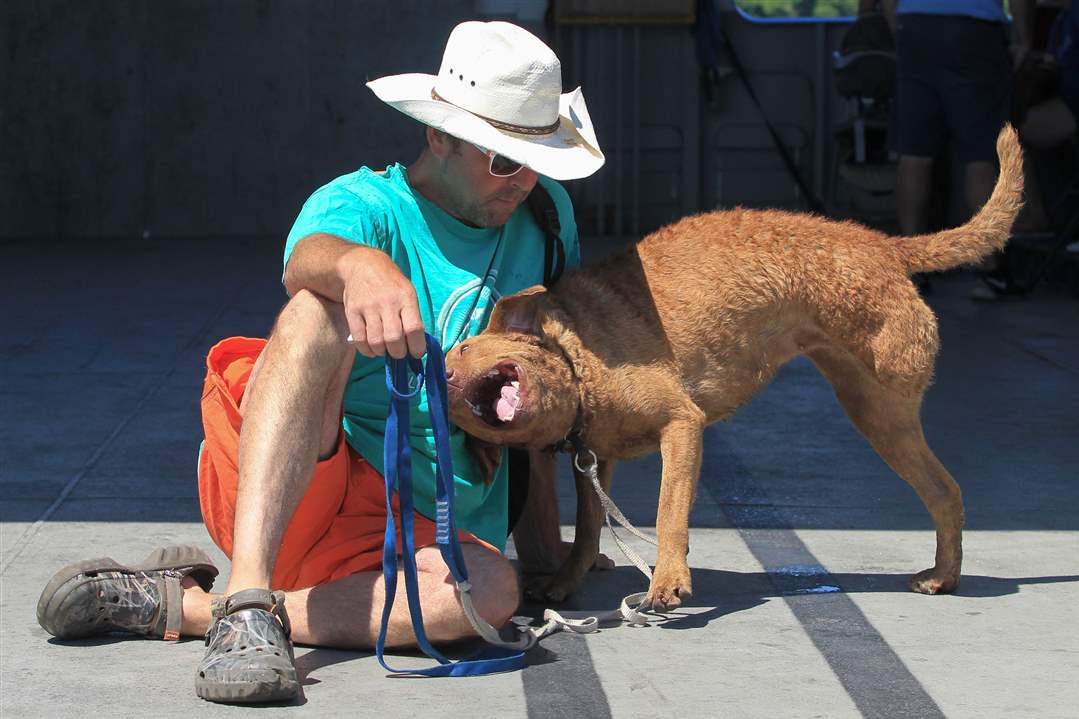 FERRIESxx-Todd-Navarre