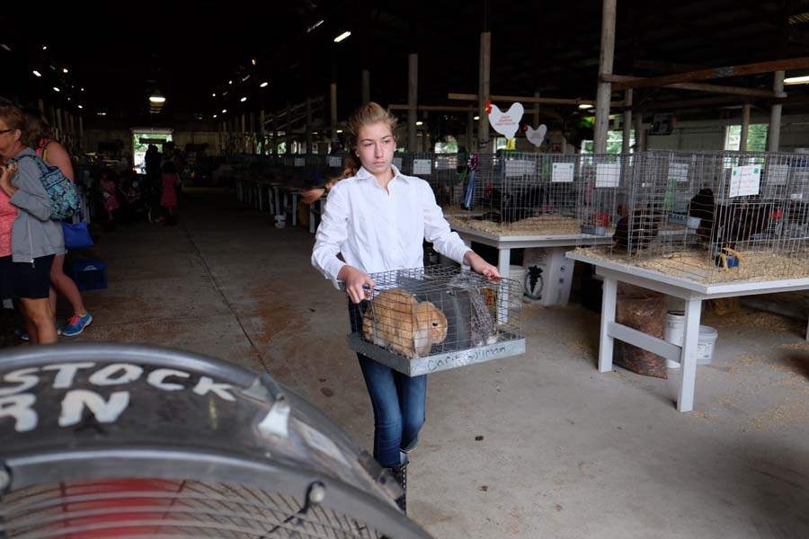 MAG-4-H24p-Marissa-Rollman-rabbit-to-judging-barn