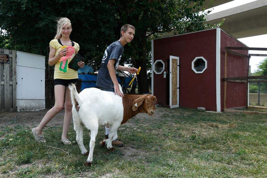 MAG-4-H24p-Marissa-and-Christopher-rollman-ribbons