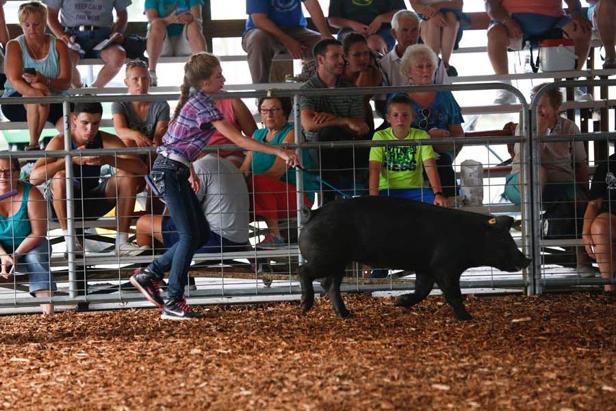 MAG-4-Hxxp-Marissa-Rollman-chases-after-her-pig