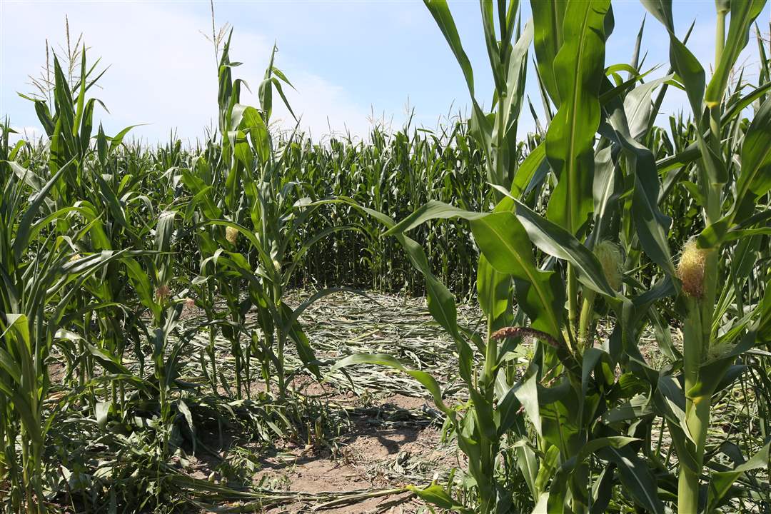 Officials-including-7-23