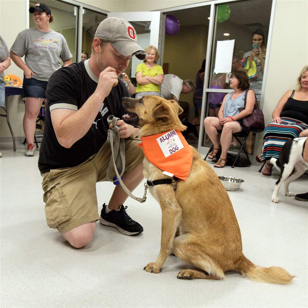 CTY-icecream25-Mizen