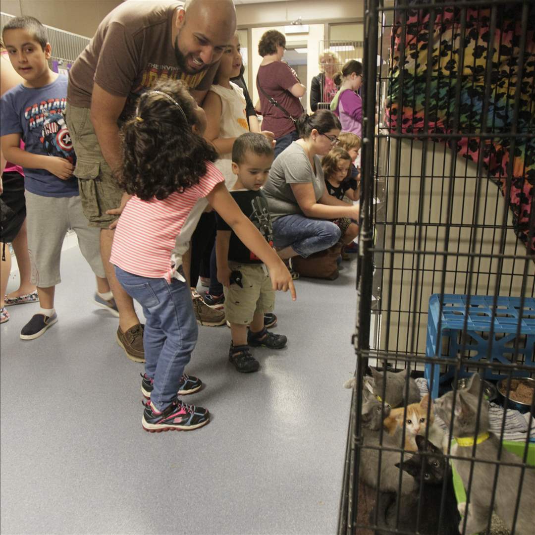 CTY-icecream25-ageel