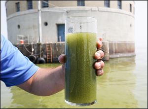 A glass of algae-filled Lake Erie water near the Toledo water intake crib in 2014. Some elements are in place for a similar water crisis in 2017, early reports show.