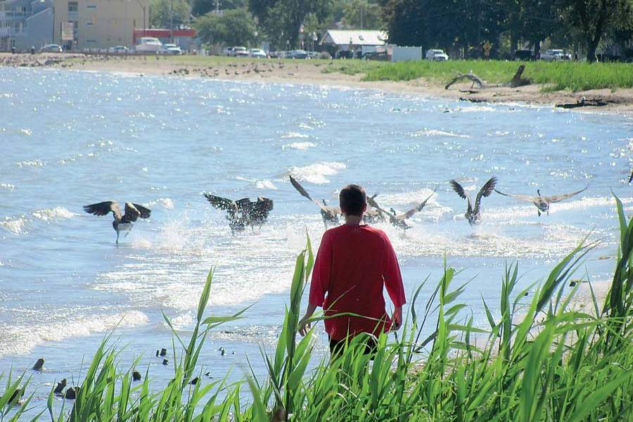 CIC-Fodor1-jpg-Owen-Fodor