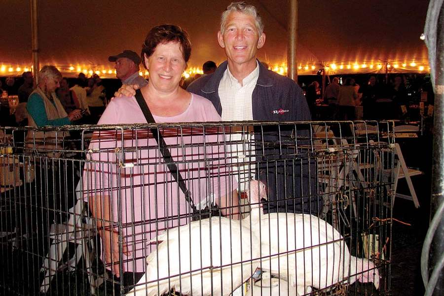 H-GROW-ANDERSONS-jpg