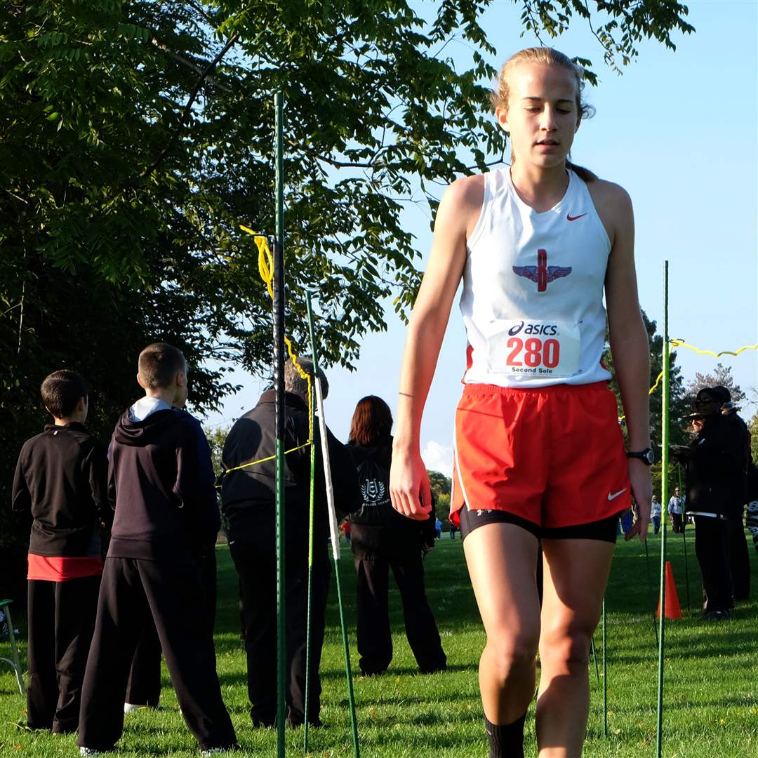 Burmeister-crosses-10-15