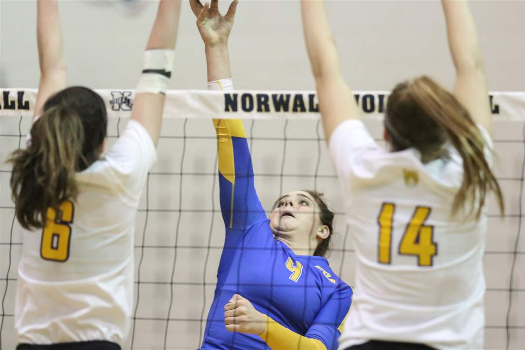 Colleen-Neitzel-11-3