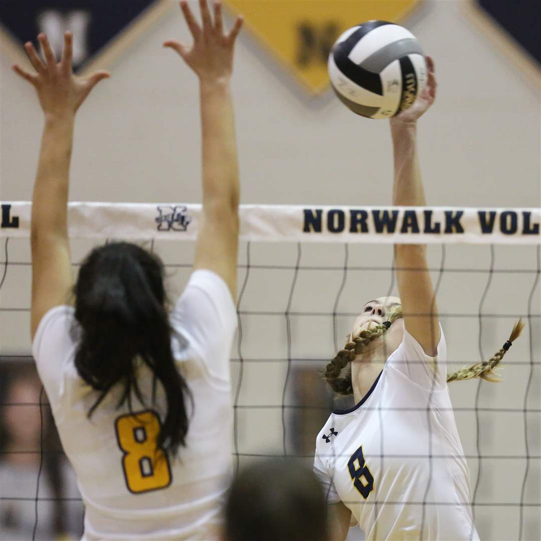 SPT-D1volleyReg6p-dydna-hit