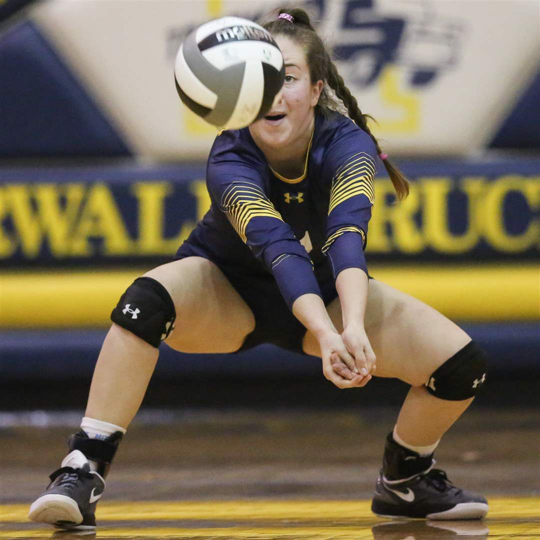 SPT-D1volleyReg6p-shook-serve