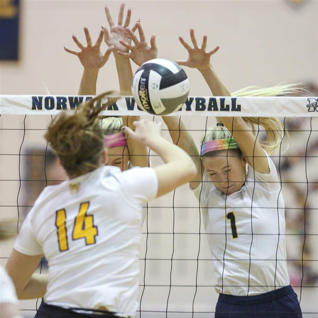 SPT-D1volleyReg6p-speweik-x2