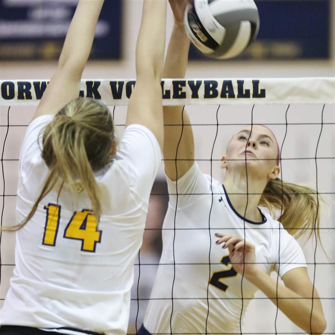 SPT-D1volleyReg6p-spike