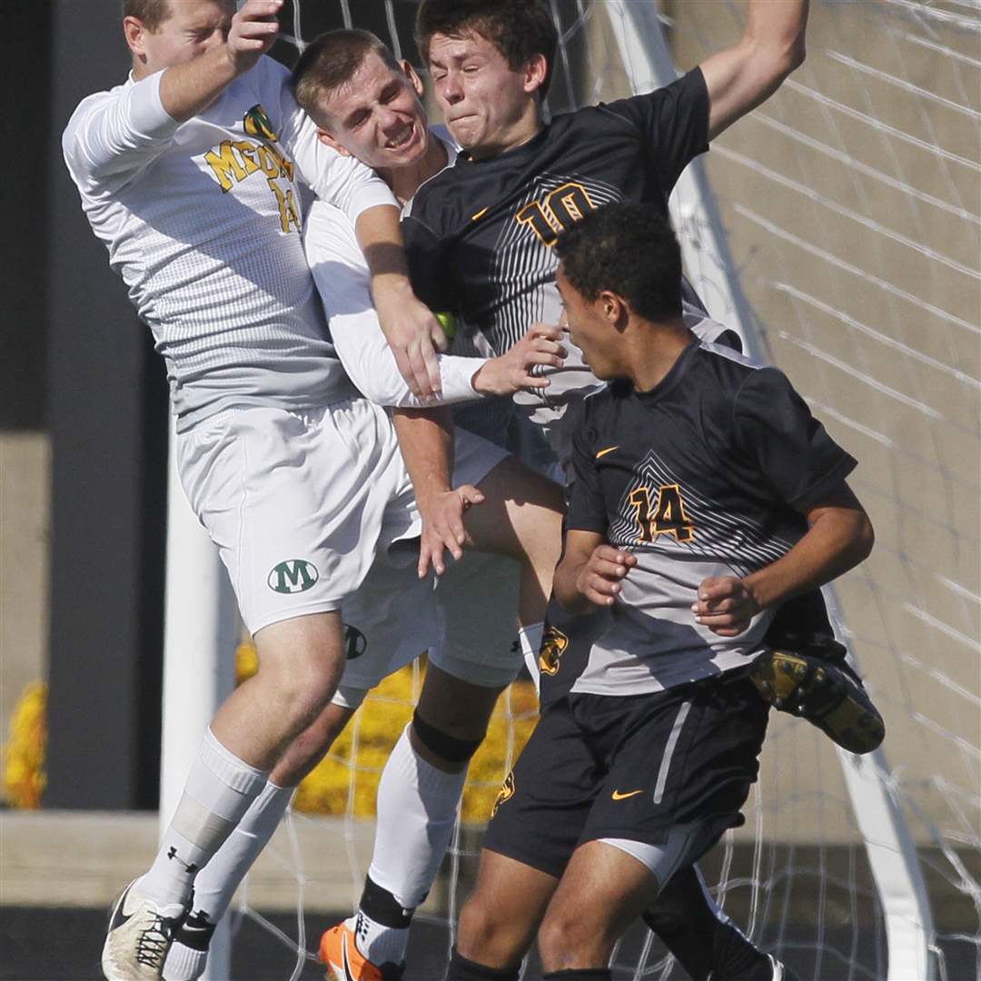 nviewsoccer06p-otter